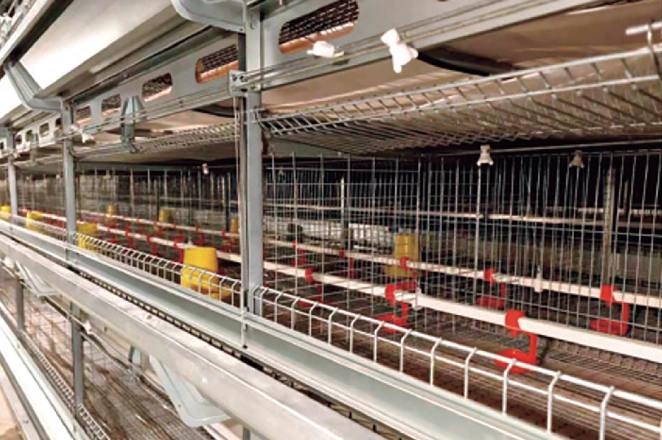 CAGE D'ÉLEVAGE