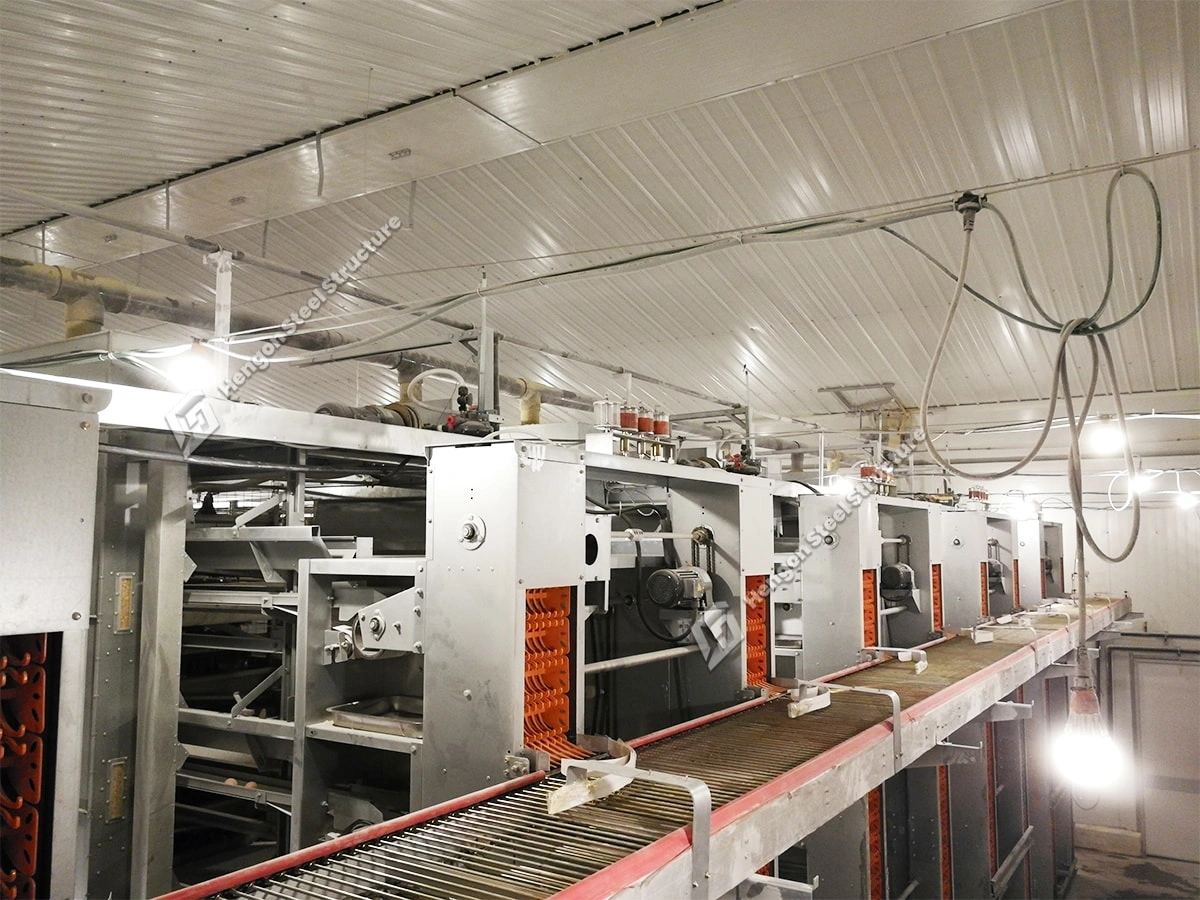 Système de collecte des œufs