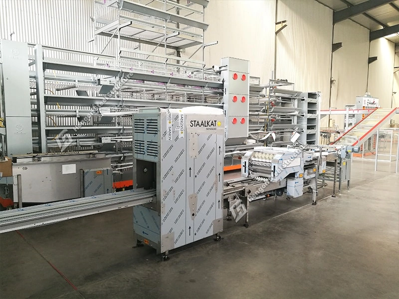 Machine de chargement pour ferme avicole