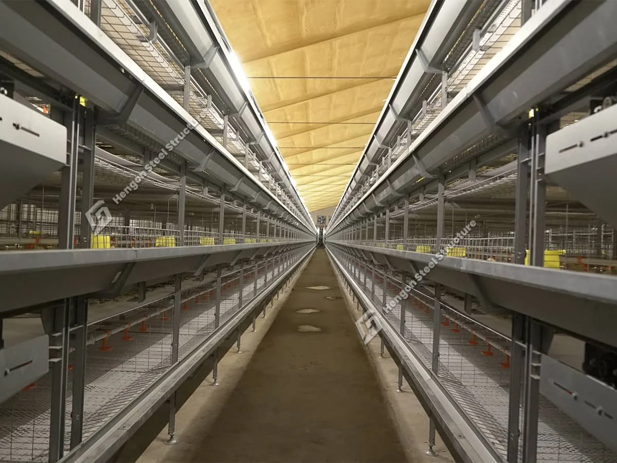 Produits pour poulets de chair